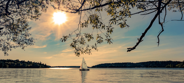 glad_sommar.png